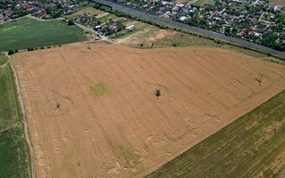 Tern intrevilan 4003 mp - Poză 14