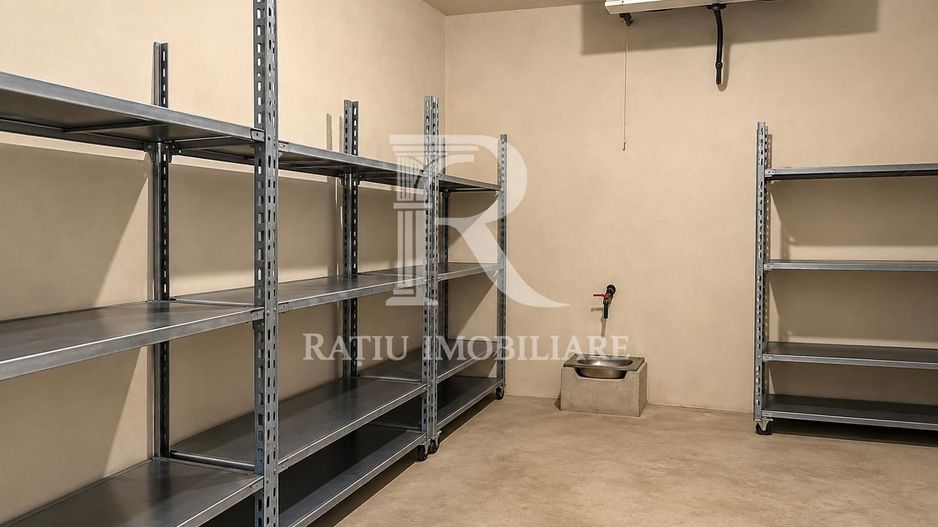 Teren intravilan agricol | 7029 mp | Satu Nou | Bihor - Poză 20