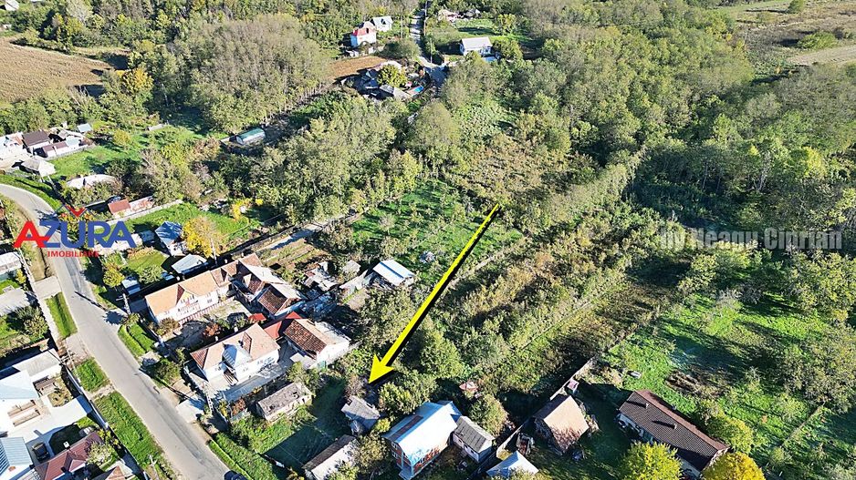 Vanzare teren 3300 mp, intravilan, Albota - Mares - Poză 11