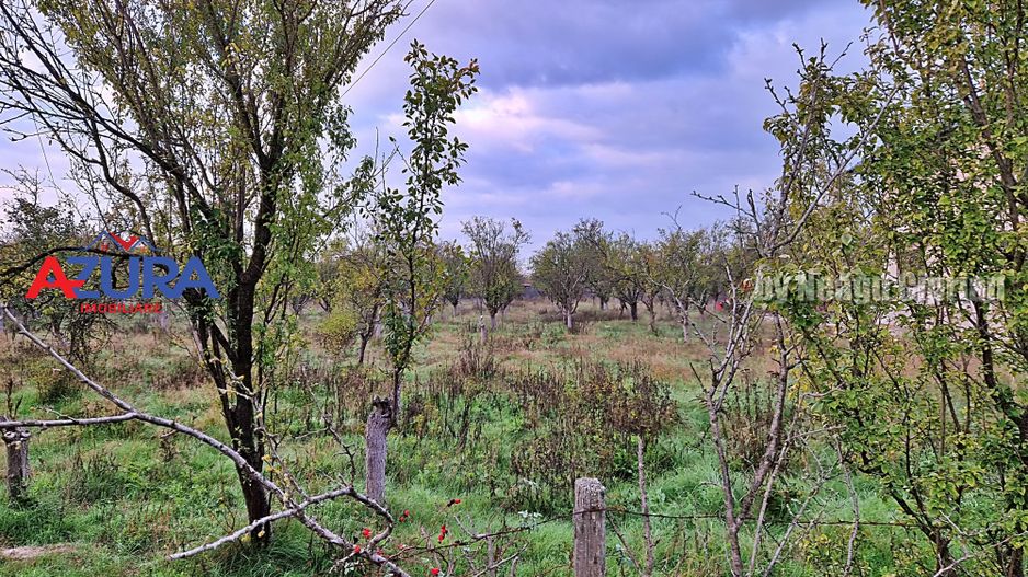 AZURA Imobiliare - Teren Bascov str Paisesti Deal - Poză 10