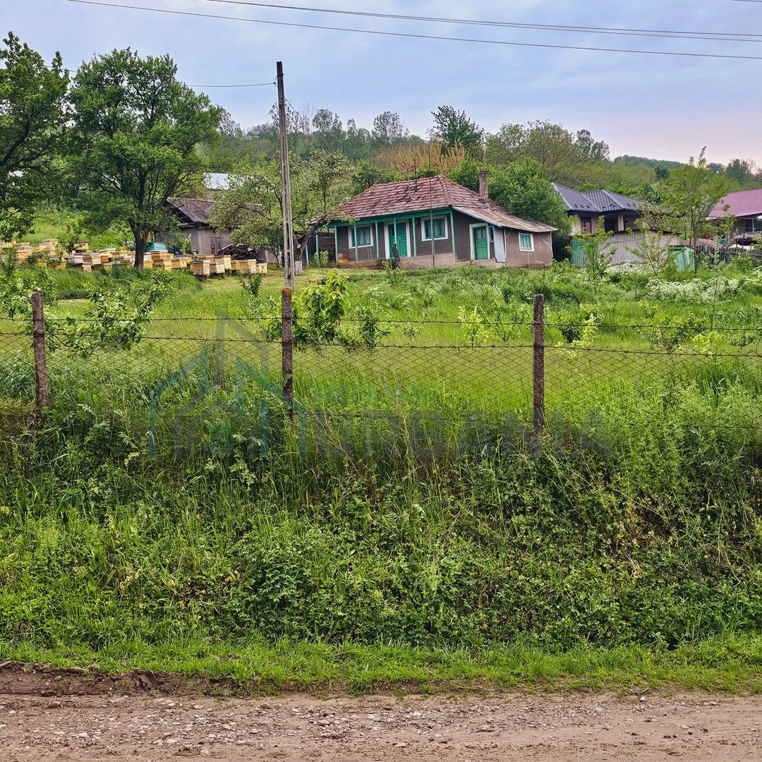 Casă de vânzare în satul Roșu, comuna Răducăneni, județul Iași – teren 5.000 mp cu livadă și vie - Poză 4