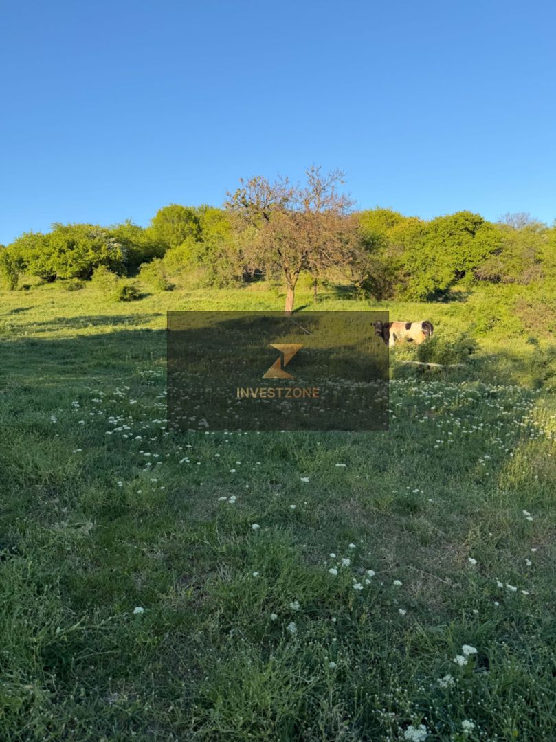 ⭐  Teren de 2.700 mp cu front generos – Ocazie în Oncea - Poză 14