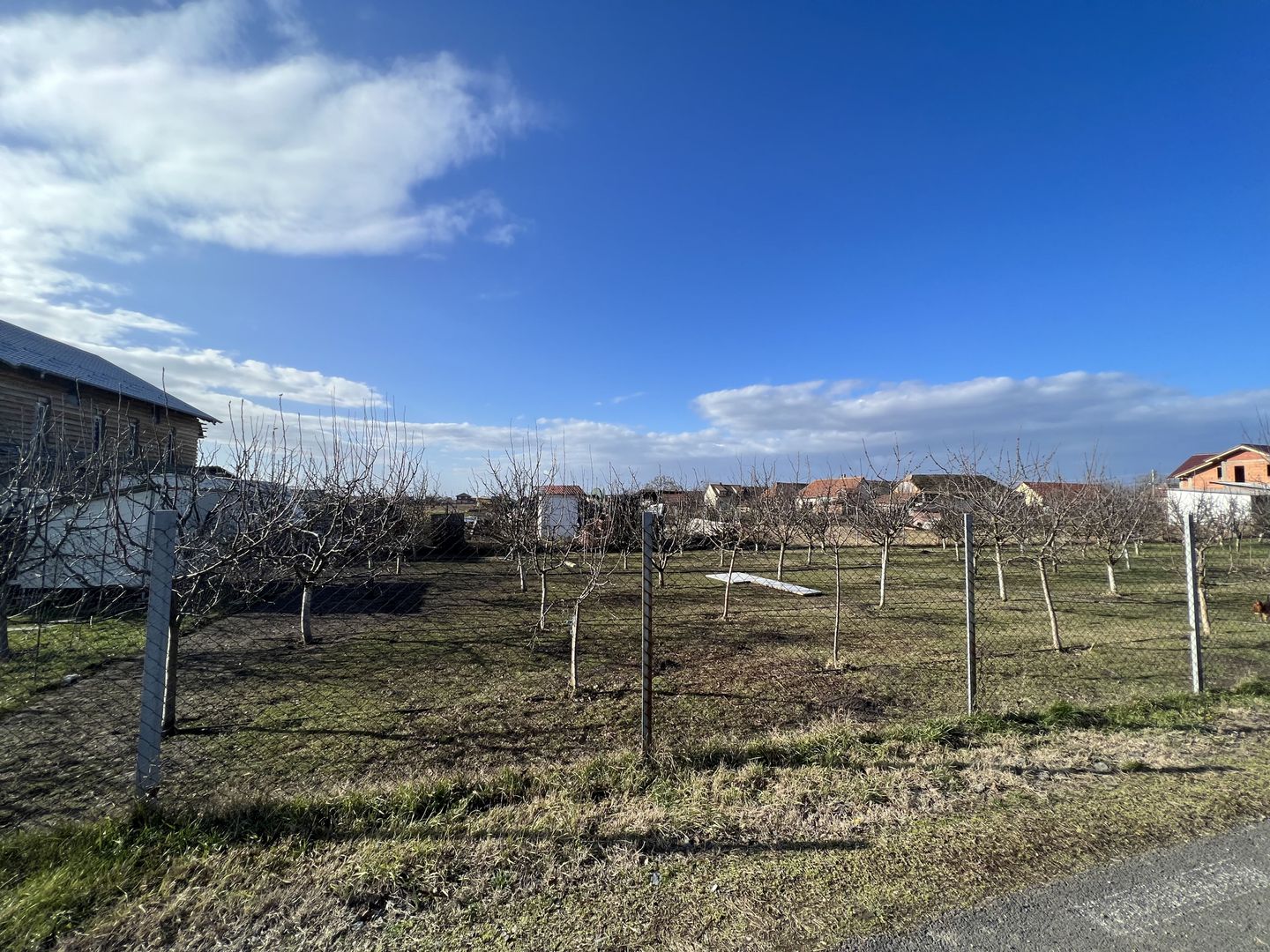 TEREN ZONA CENTRALA - Poză 2