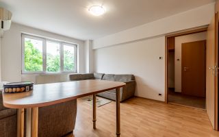 Apartament 2 camere, etaj 2, bloc cu lift, Libelula, Arad - Poză 6