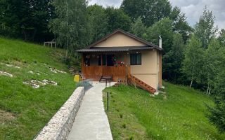 CASA 3 CAMERE, TEREN 3100 MP, ALBESTI DE MUSCEL, ARGES - Poză 1