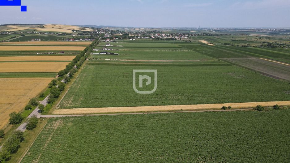 Teren - Orășeni Deal, Curtești | BOTOȘANI | 10.000mp - Poză 4