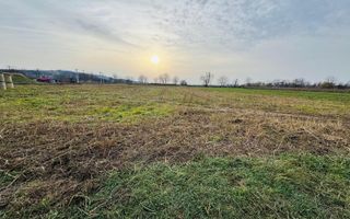 Teren intravilan 7620 mp la intrare in Diosig - Poză 1