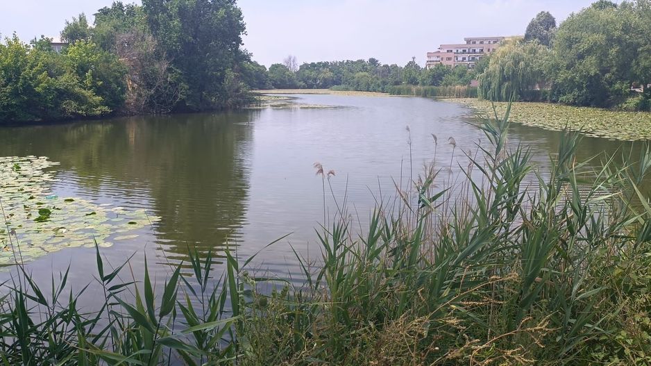 Casa în Stil American ! Mogosoaia/Chitila ! Regie Proprie ! - Poză 72