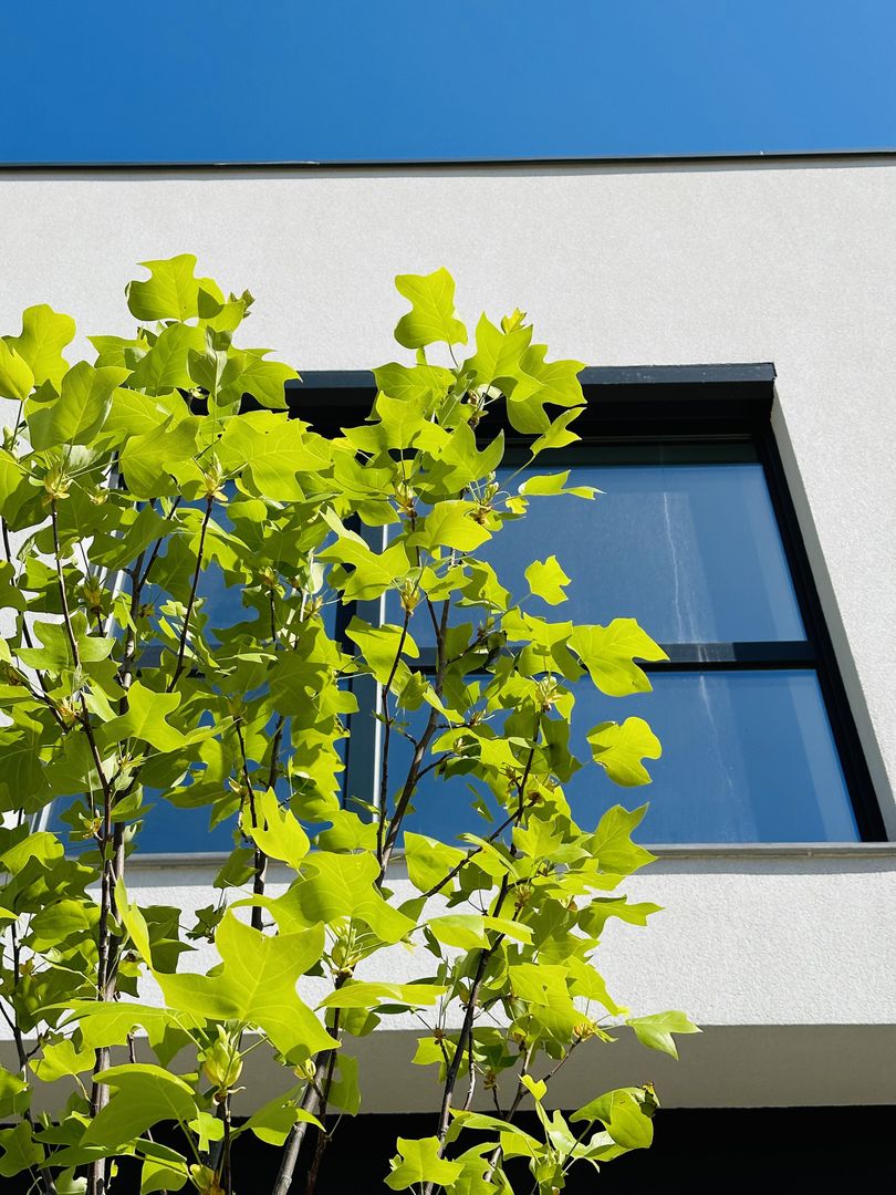 Design Ultramodern | Pompa de caldura | 131 mp, 4 bai | Langa Padure - Poză 11