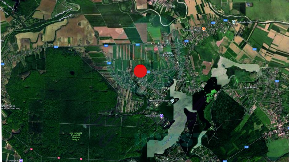 Teren 16534 mp pentru dezvoltare rezidențială, Siliștea Snagovului - Poză 3