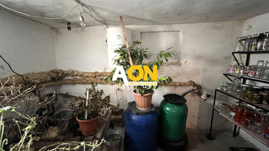 Casa de vanzare pretabila 2 familii, garaj, livada, comuna Pianu - Poză 35