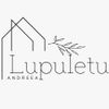 Lupuletu Andreea - Lupuletu Claudia-Andreea