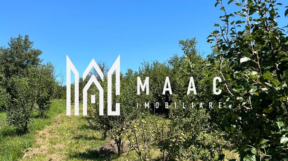 Casa 3 camere I Acces auto I Teren 1.177 mp I Cisnadioara - Poză 7