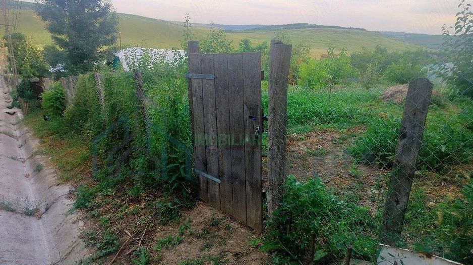 Teren intravilan de 1550 mp în localitatea Buznea, strada Corneliu Coposu - Poză 4