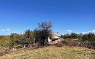Teren Babana 5000mp intravilan - Poză 4