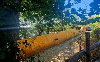 🌳 Teren intravilan 2322 mp, Păcuri – vedere superbă spre pădure! 🏡✨ - Poză 8