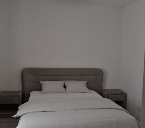 Apartament 3 camere - zona Unirii - Poză 8