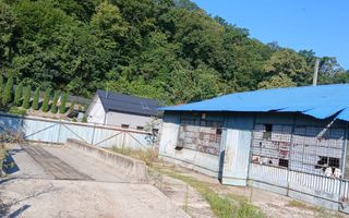 Proprietate Industrială Dej - Poză 5