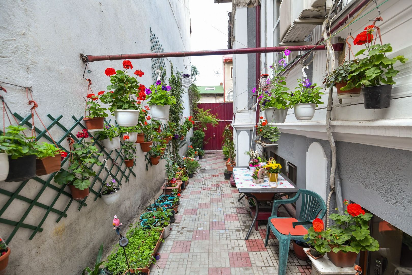Casa individuală | Strada Plantelor | Curte proprie - Poză 2