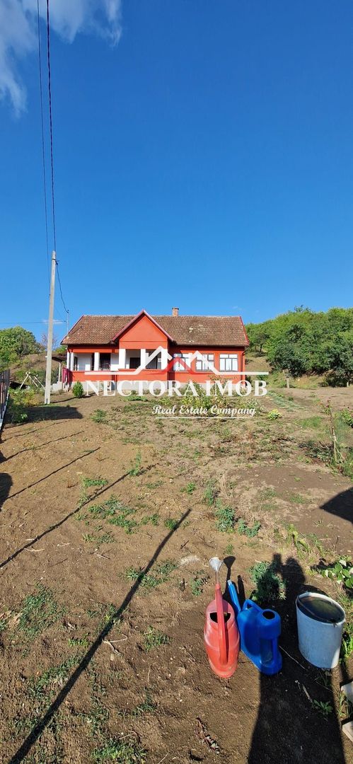 NECTORA IMOB-Casa Zona Podgoria cu 3 incaperi, 1700 mp teren,tip Conac - Poză 2