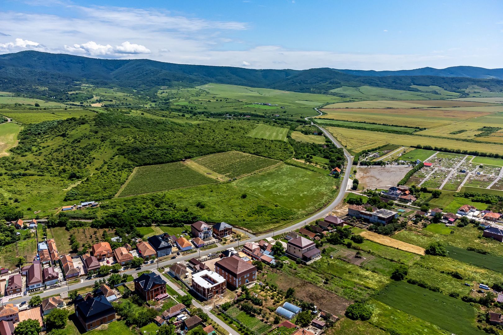 PRET REDUS Oportunitate de afacere, Teren cu vita de vie - Poză 2