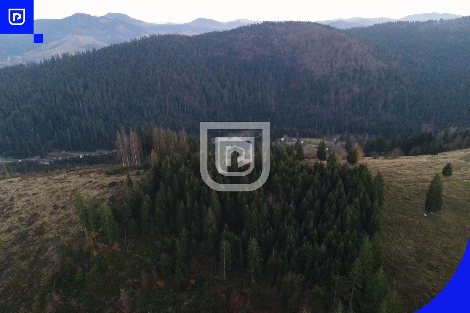 Teren situat in Frasin | BUCOVINA - Poză 7