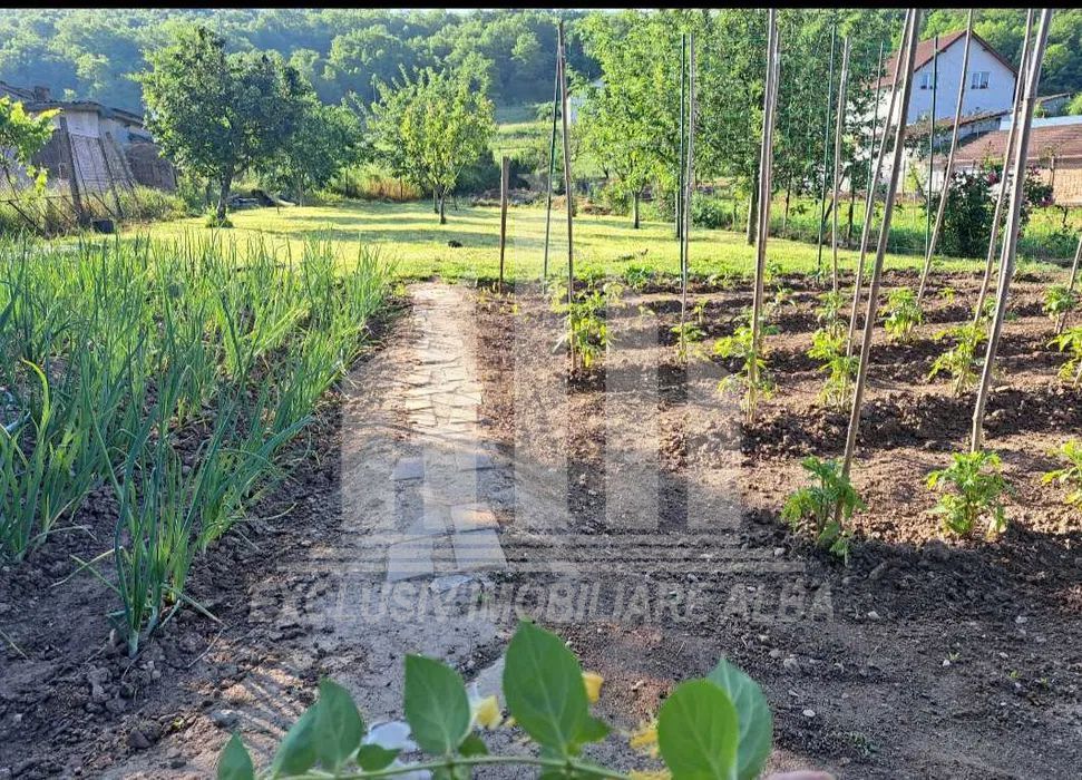 Teren intravilan de vanzare, Ciugud - Poză 3