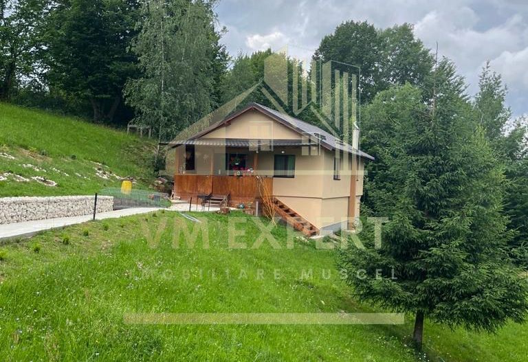 CASA 3 CAMERE, TEREN 3100 MP, ALBESTI DE MUSCEL, ARGES - Poză 4