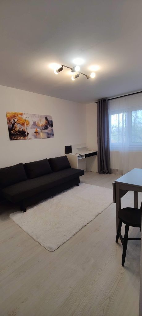 Dambovita | 1 Camera | Etaj Intermediar. - Poză 2