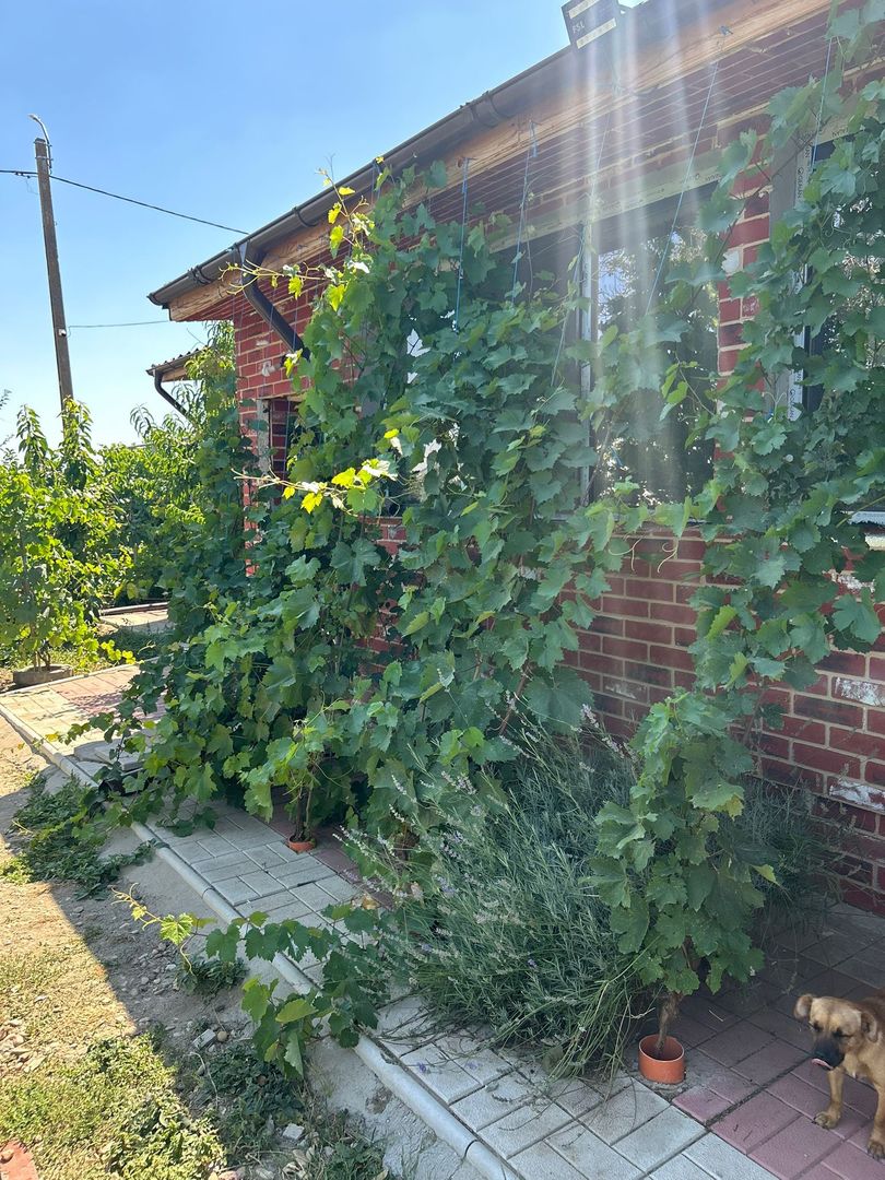 Vanzare vila rustica - 250 mp - Frumusani - Poză 2