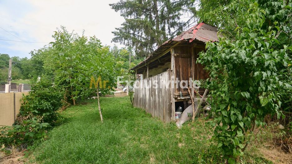 Teren 2240 mp intravilan + casa batraneasca Hintesti-Basangesti - Poză 11