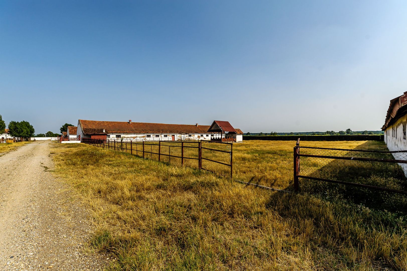 Fermă Mândruloc 2,5 ha - Poză 7