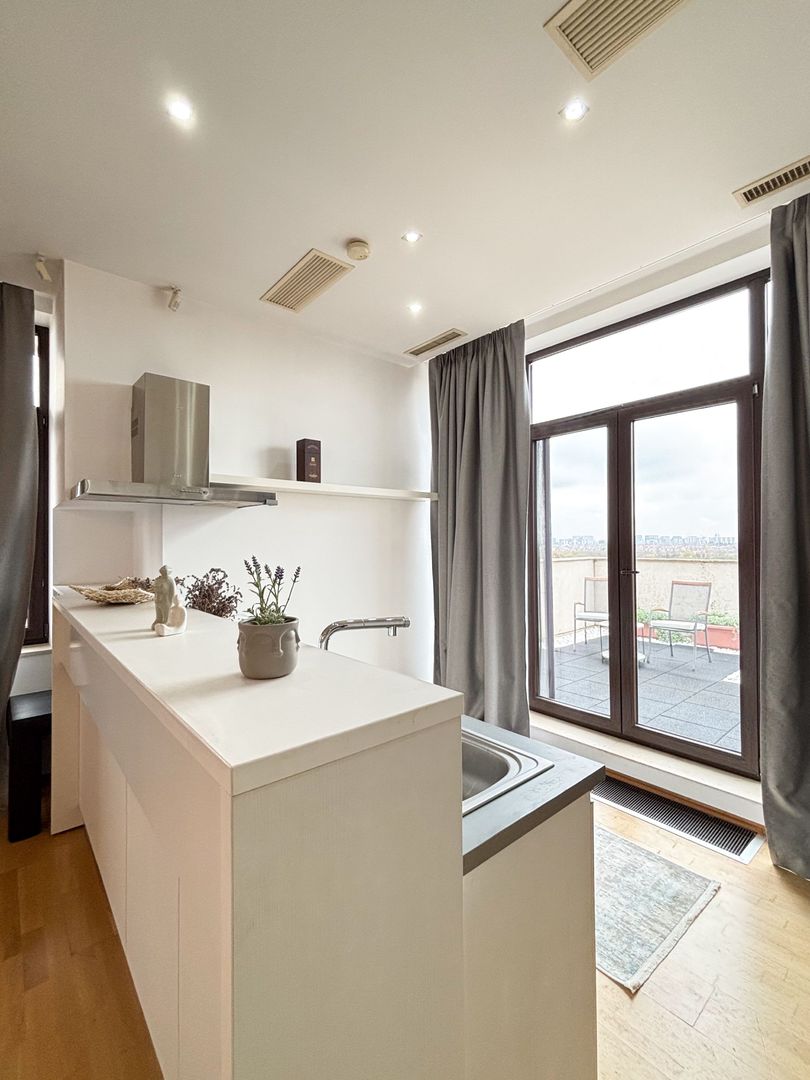 Închirie Penthouse 5 camere | Terasă 350mp - Poză 12