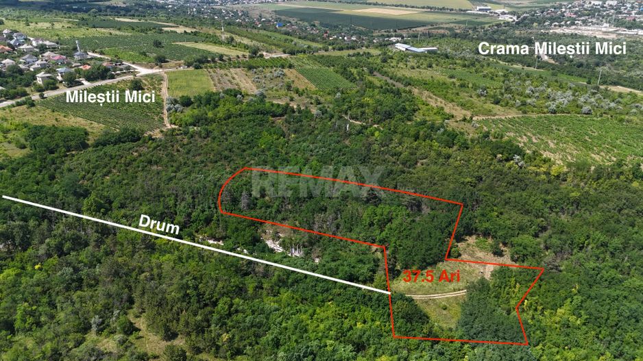 Teren de 37.5 ari în inima pădurii – Oportunitate unică de investiție lângă Crama Mileștii Mici! - Poză 1