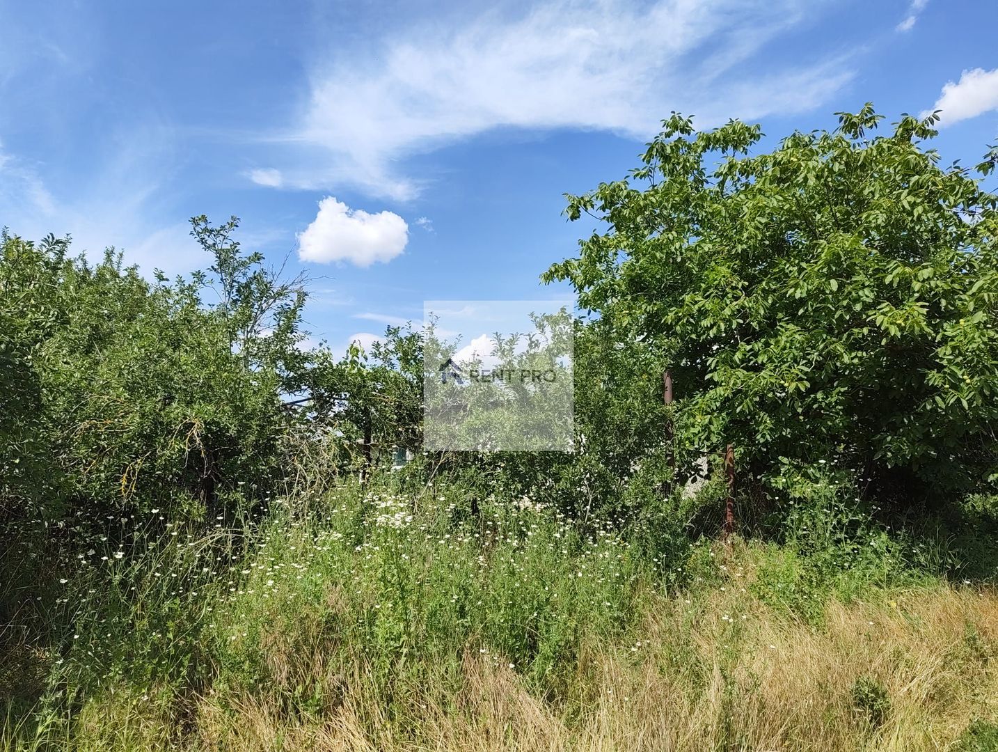 Teren de 11.000 mp cu casă și teren agricol | La 40 km de București | - Poză 16