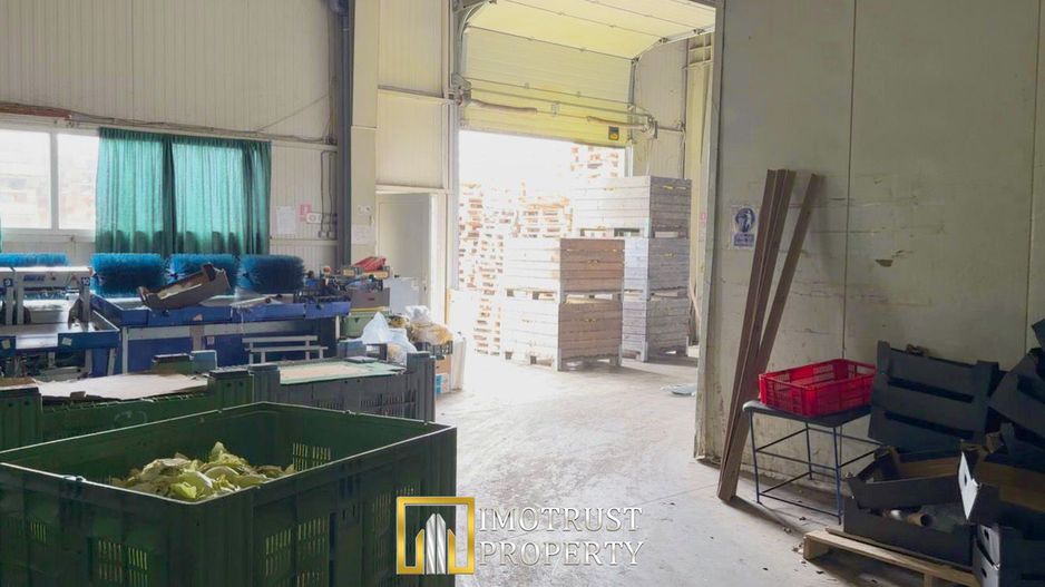 Hala industrială de vanzare Arad 540 mp, depozitare la rece, acces TIR - Poză 4