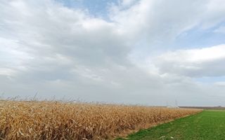 Teren intravilan industrial,str.Durau - Poză 3