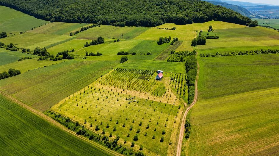 Afacere la cheie, dar si refugiu intr-o oaza de liniste in peisaj pitoresc: 25. - Poză 1