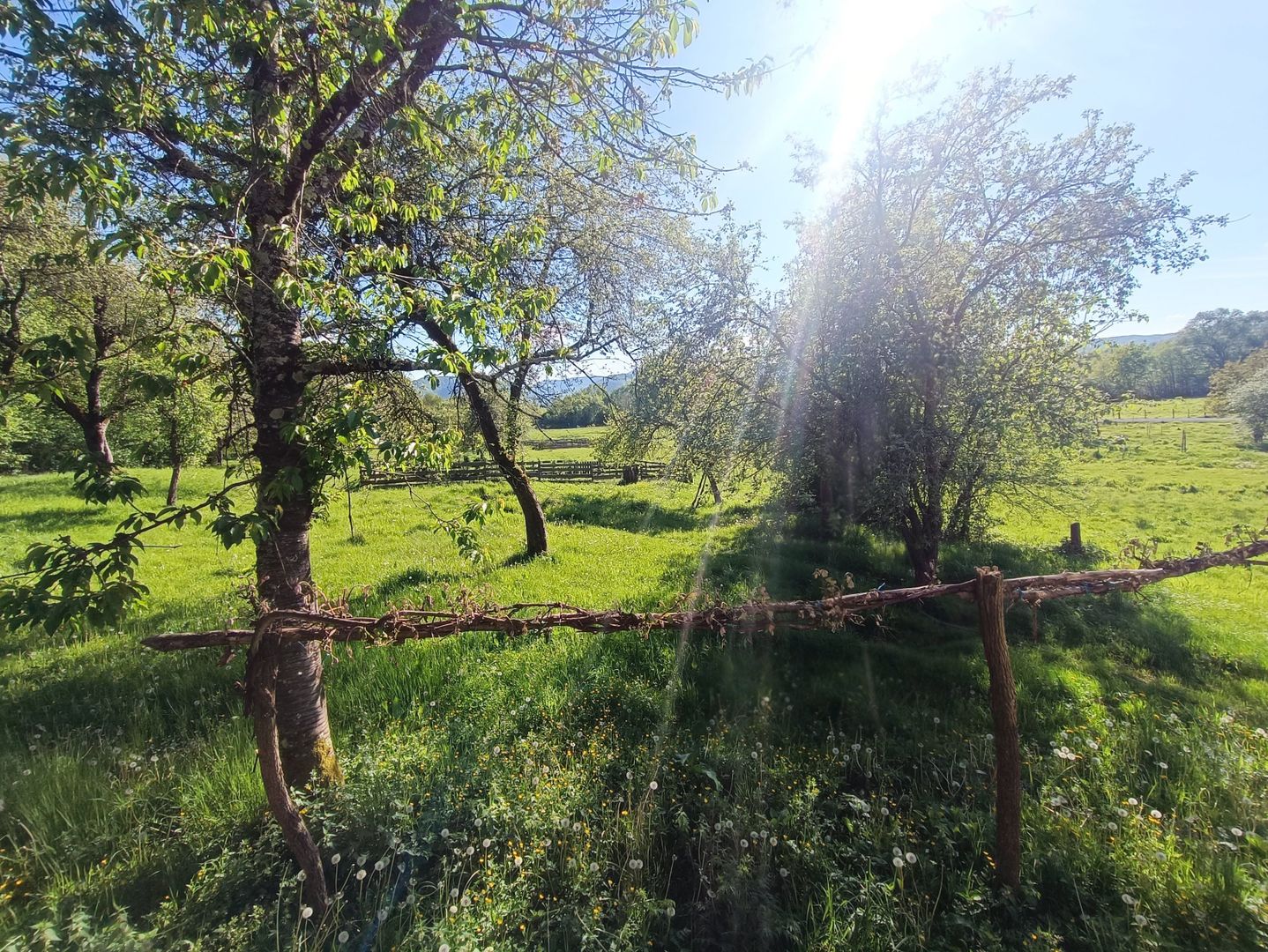 Descoperă căsuța ta de vis la poalele Munților Apuseni - Poză 6