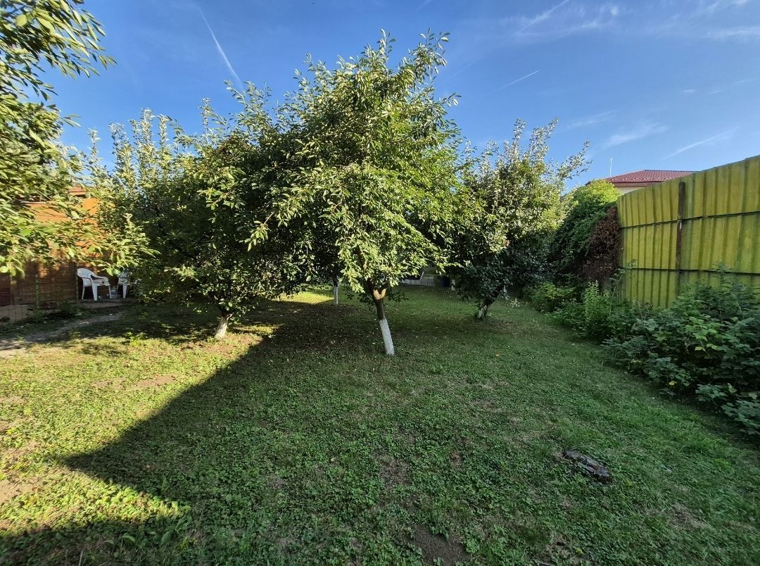 Cabana de lemn cu fundatie 86 mp+ livada pomi fructiferi+teren 847 mp - Poză 6