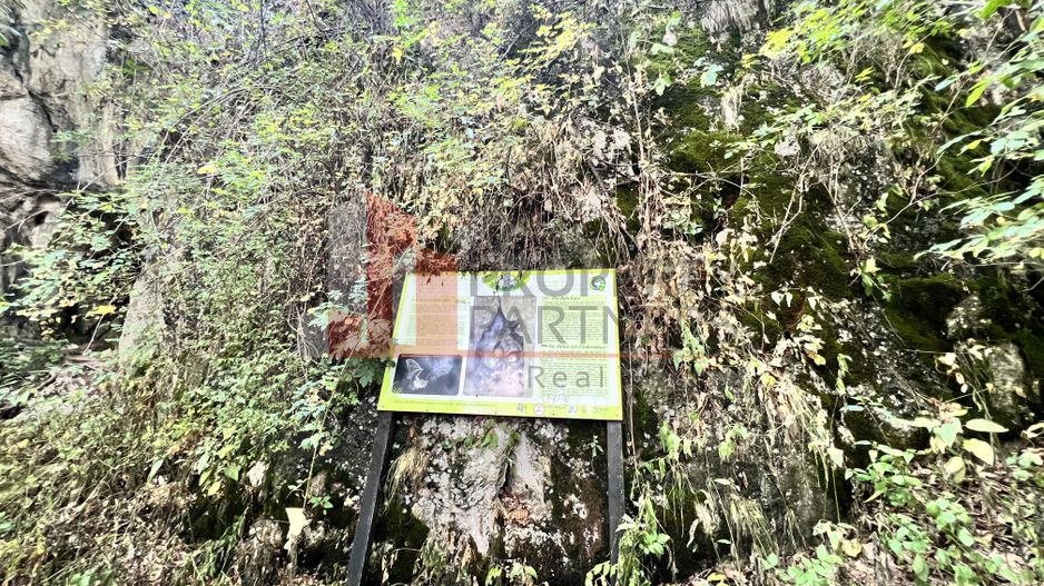 Teren de vânzare langa  Peștera Liliecilor  in Sat Pestera - Poză 8