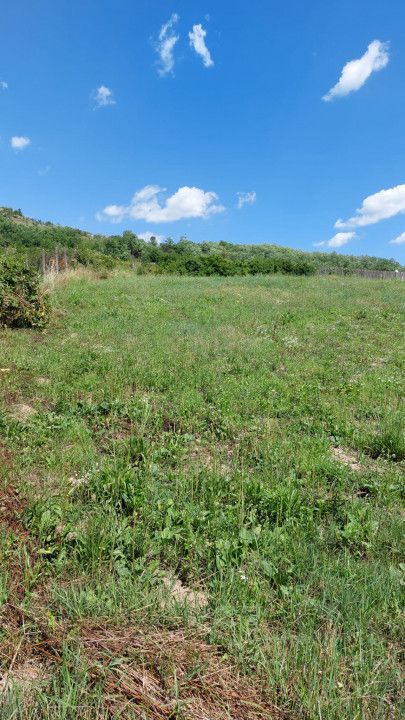 Vanzare teren 1350 mp, Stefanesti Sat - Poză 4