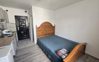 Apartament cu 1 cameră de vânzare în Iași, zona Poitiers - Poză 1