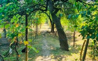 BG131-Teren: 2.822 mp pentru Proiect Imobiliar Premium COMISION 0% - Poză 3