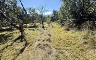 Teren 4558 mp cu casă tradițională, Sohodol, Bran - Poză 10