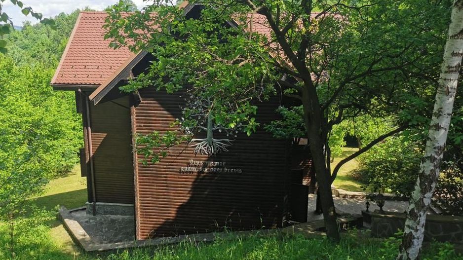 Casa de vacanta deosebita Breaza- Nistoresti - Poză 27