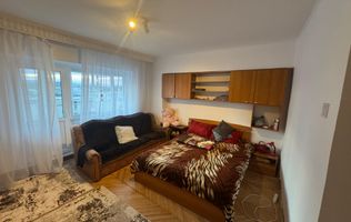 Apartament mare cu 1 camera Nicolina Cug - 300 E/LUNA, disponibil