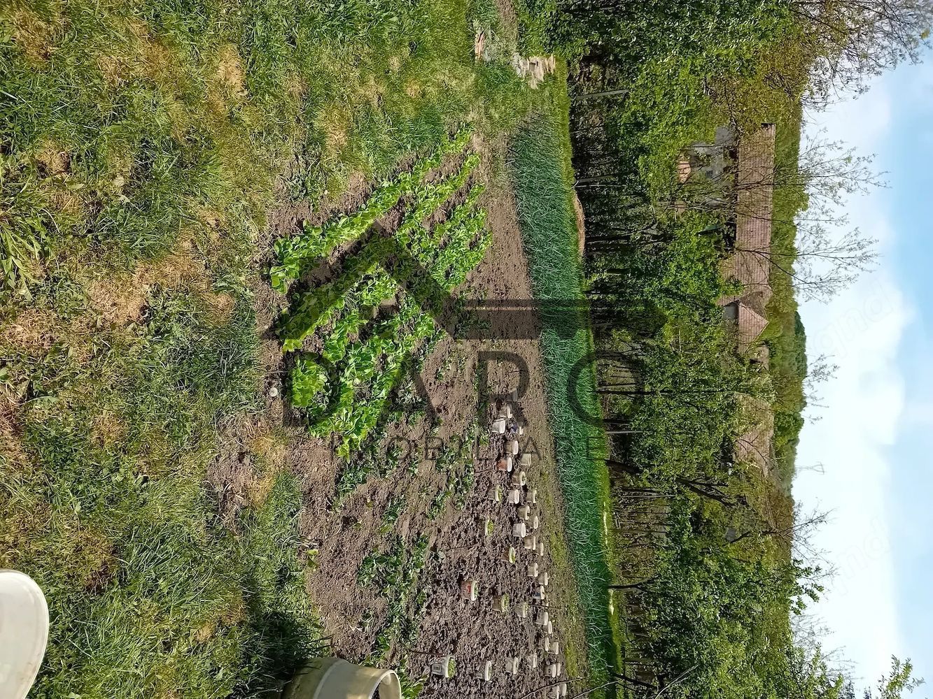 Casa de vinzare - Poză 5