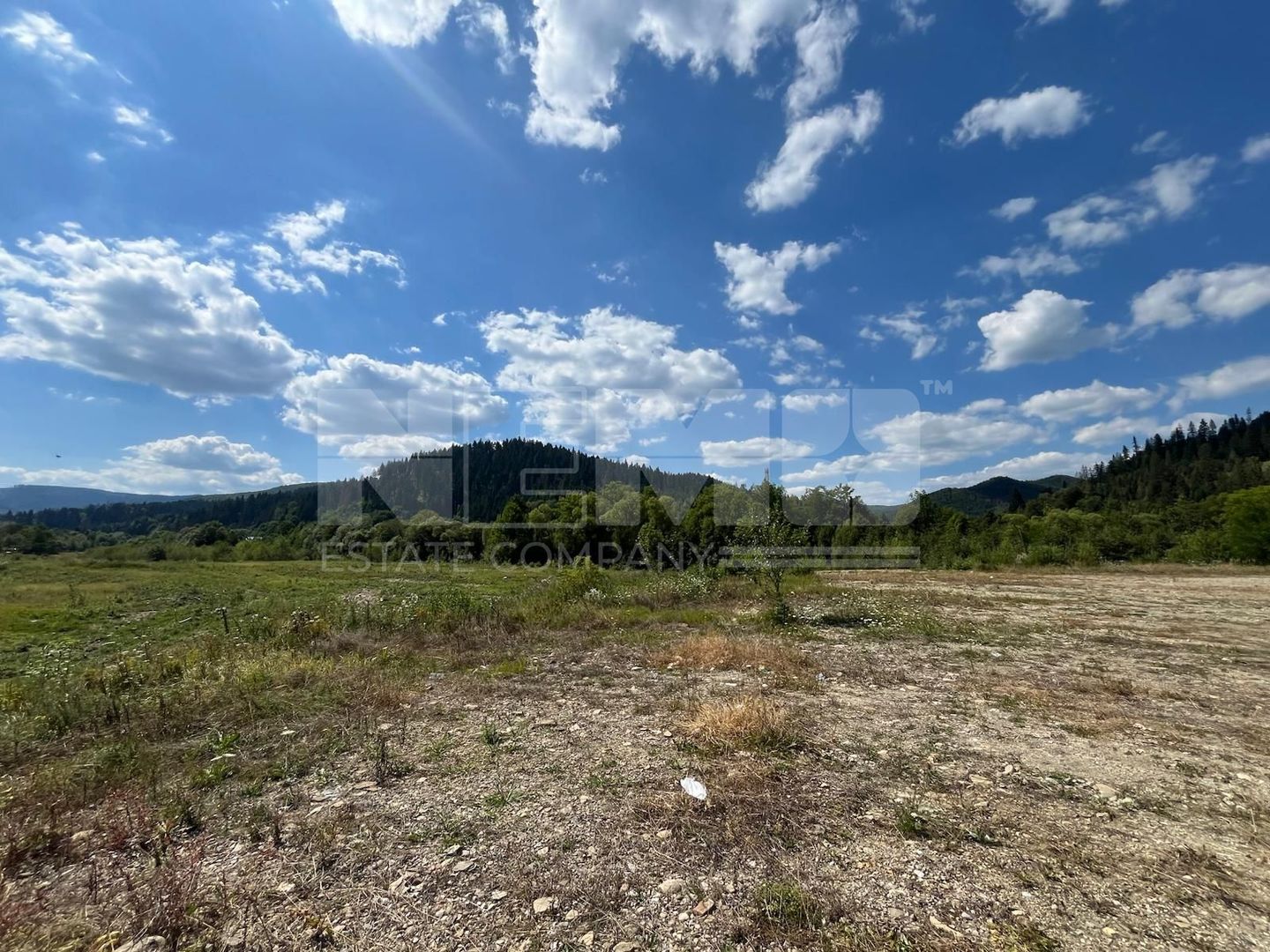 TEREN INTRAVILAN 2,26 HA | SUCEVITA | - Poză 4