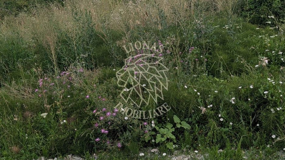 Teren 1000 mp cu utilitati-ideal casa, cabana, investitie-Dealul Jelnei - Poză 3